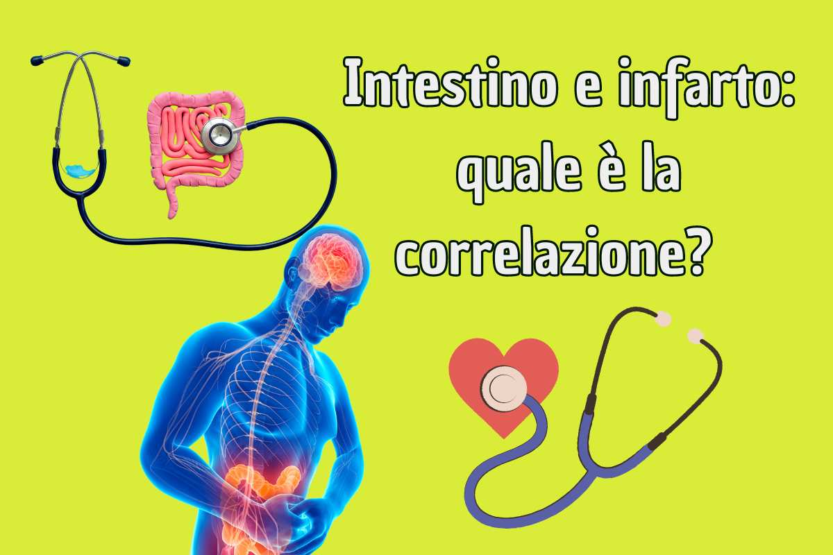 Intestino e infarto, la correlazione